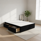 Black Plush