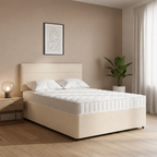 Cream Plush